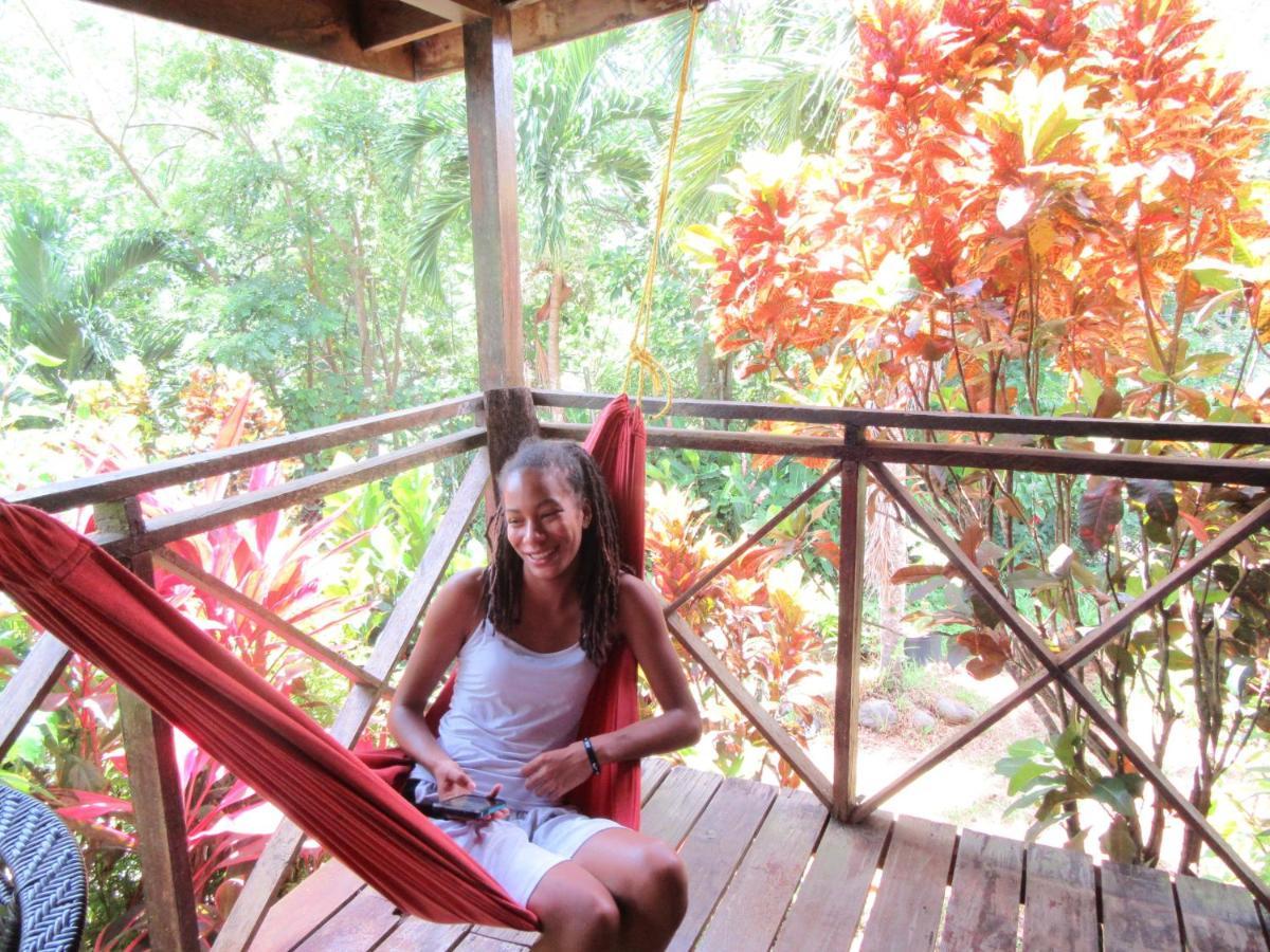Hibiscus Valley Inn Marigot Eksteriør bilde