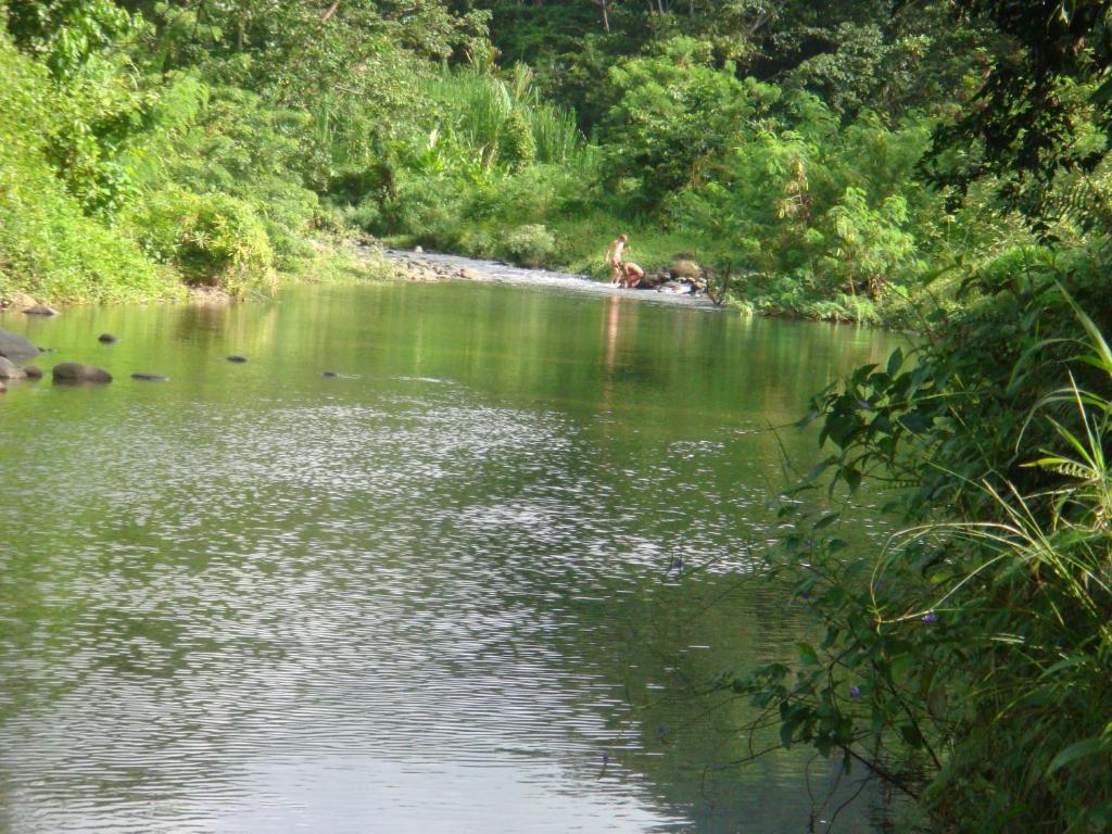 Hibiscus Valley Inn Marigot Rom bilde