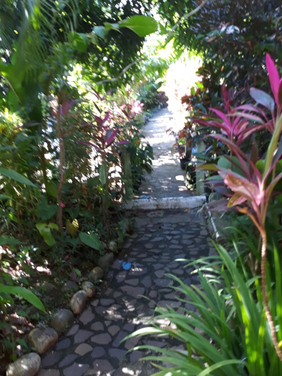 Hibiscus Valley Inn Marigot Eksteriør bilde
