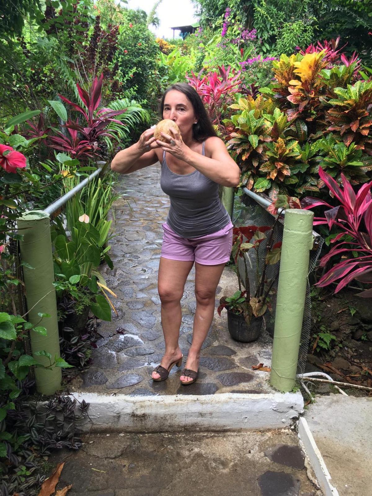 Hibiscus Valley Inn Marigot Eksteriør bilde