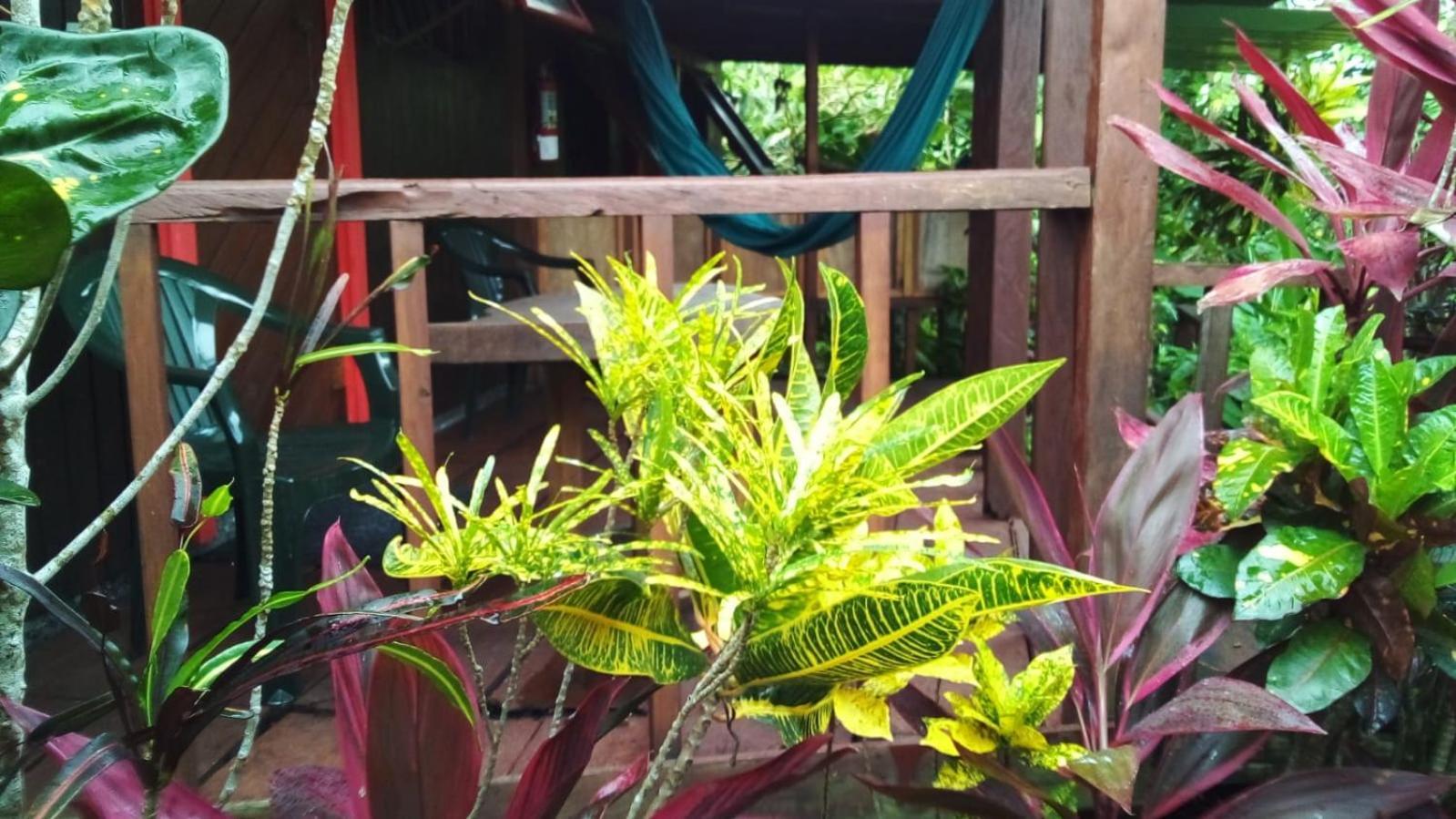 Hibiscus Valley Inn Marigot Eksteriør bilde