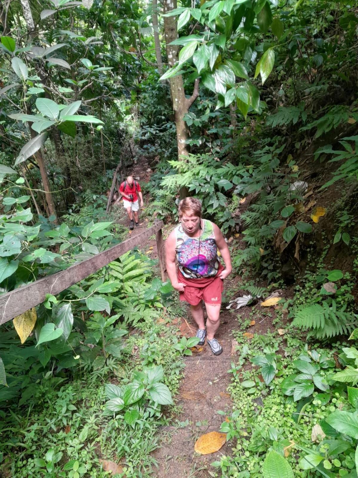 Hibiscus Valley Inn Marigot Eksteriør bilde