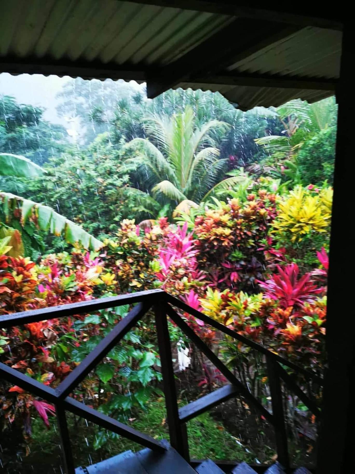 Hibiscus Valley Inn Marigot Eksteriør bilde