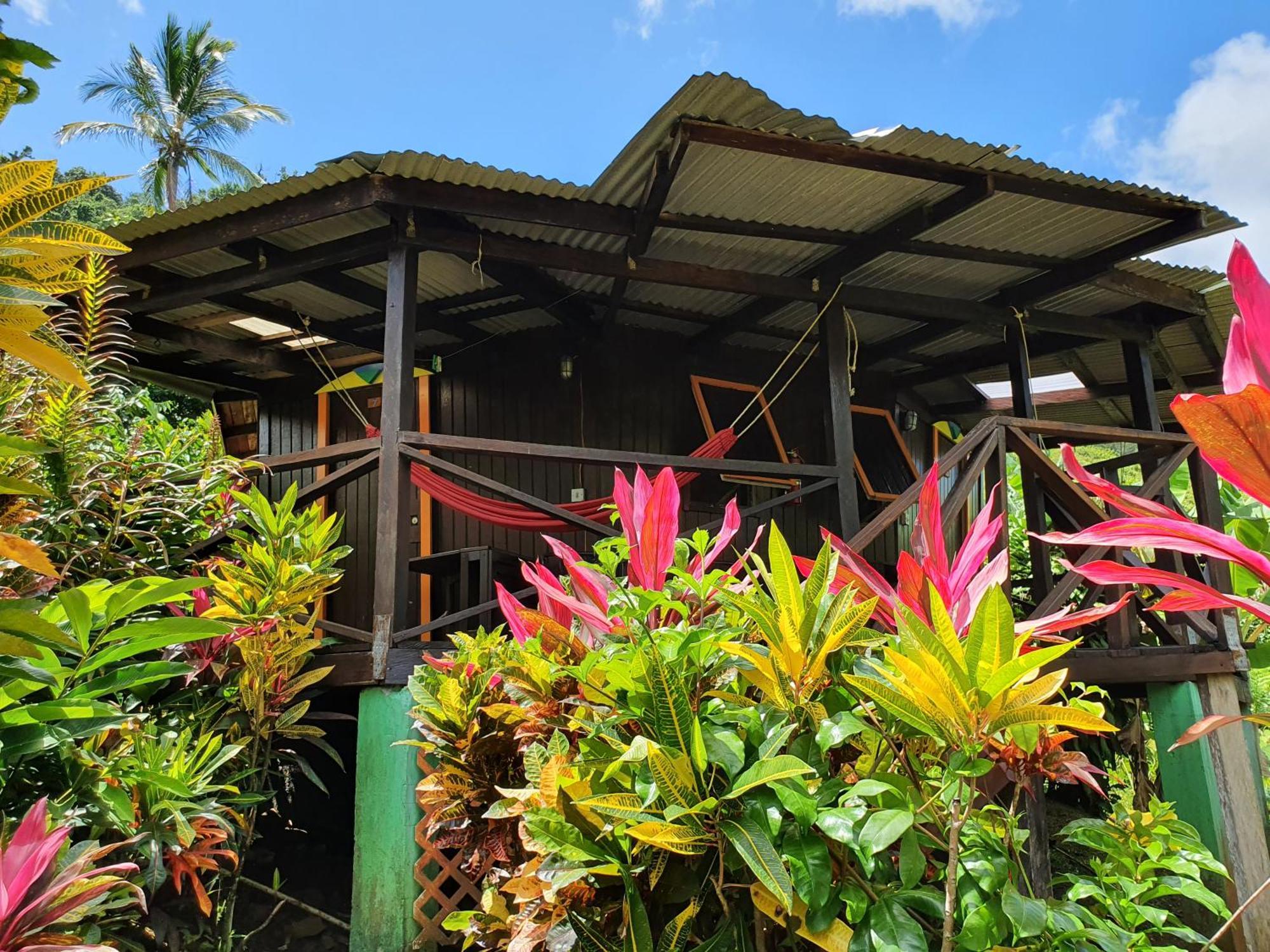 Hibiscus Valley Inn Marigot Eksteriør bilde