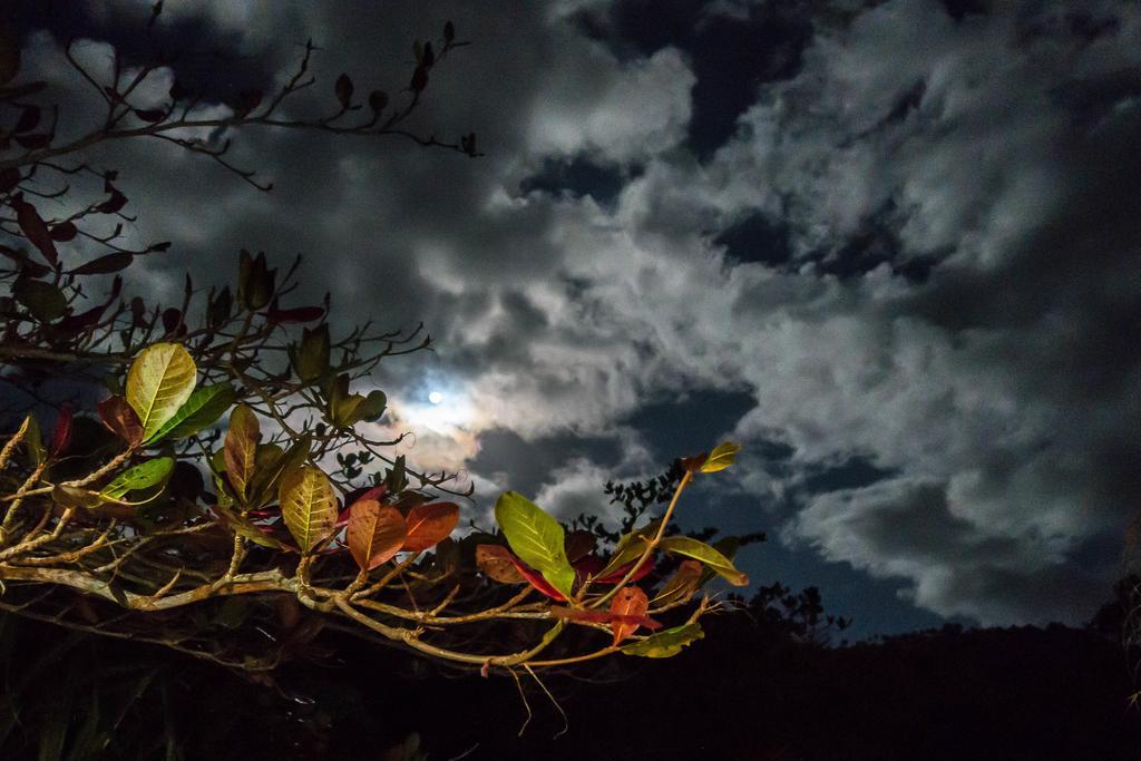 Hibiscus Valley Inn Marigot Eksteriør bilde