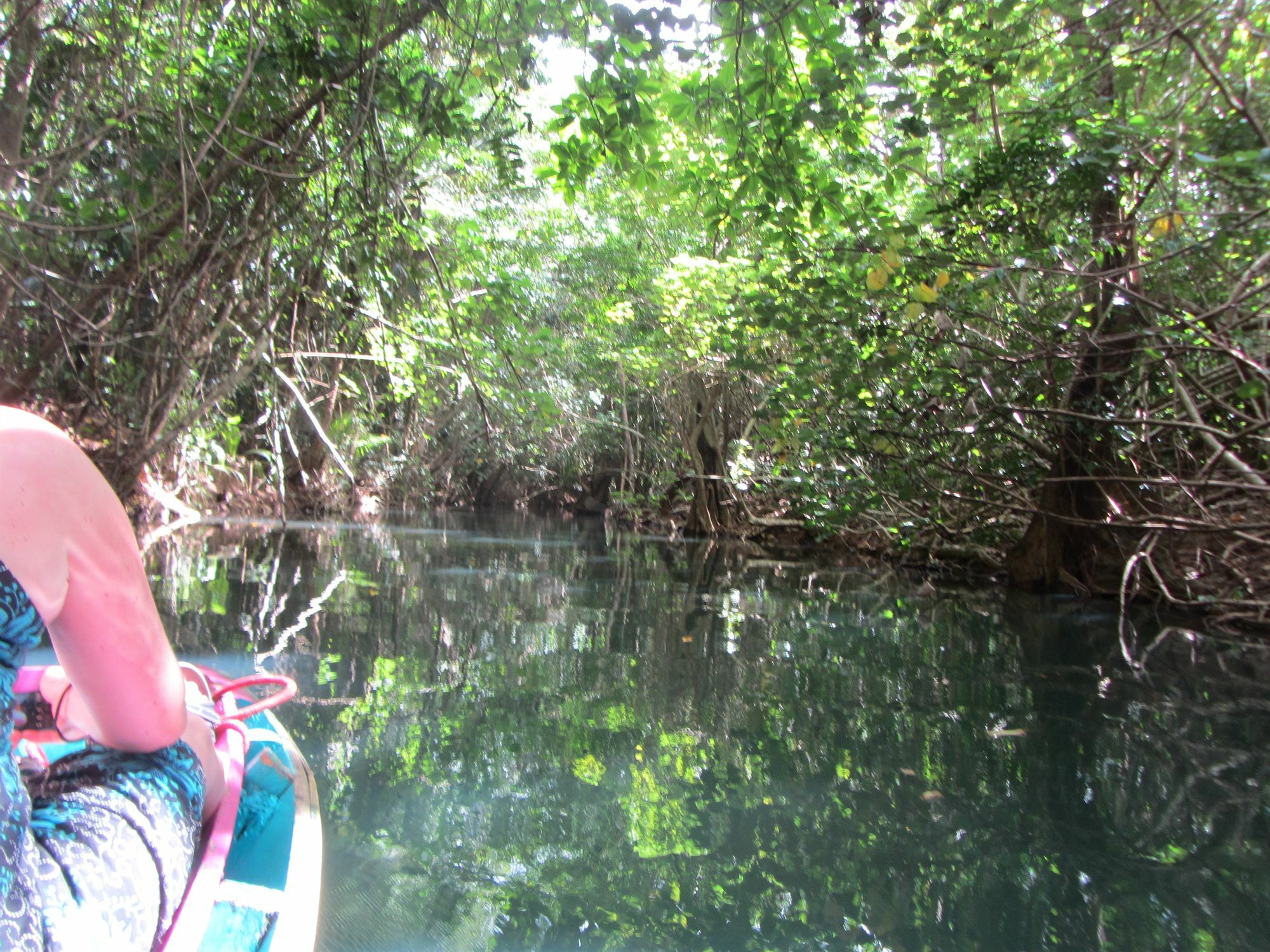 Hibiscus Valley Inn Marigot Eksteriør bilde