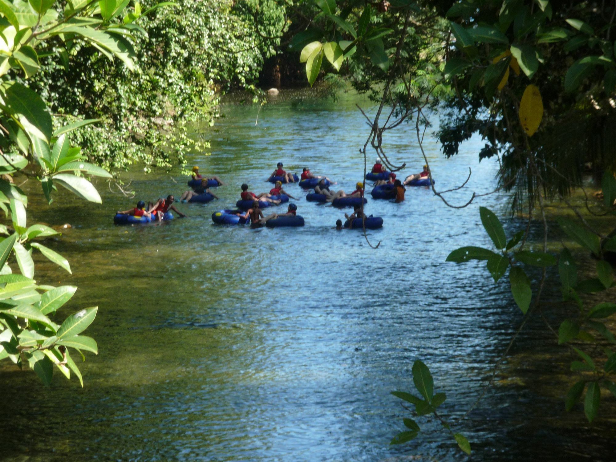 Hibiscus Valley Inn Marigot Eksteriør bilde