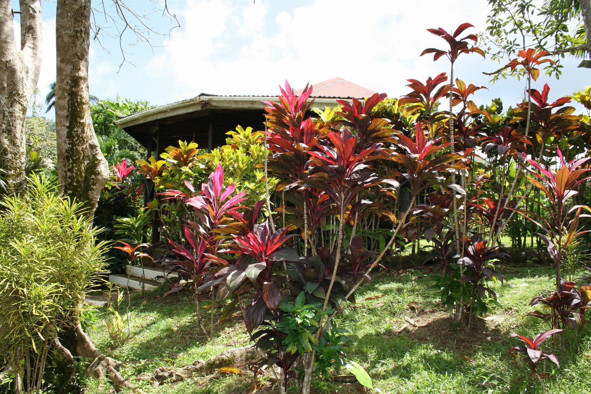Hibiscus Valley Inn Marigot Eksteriør bilde