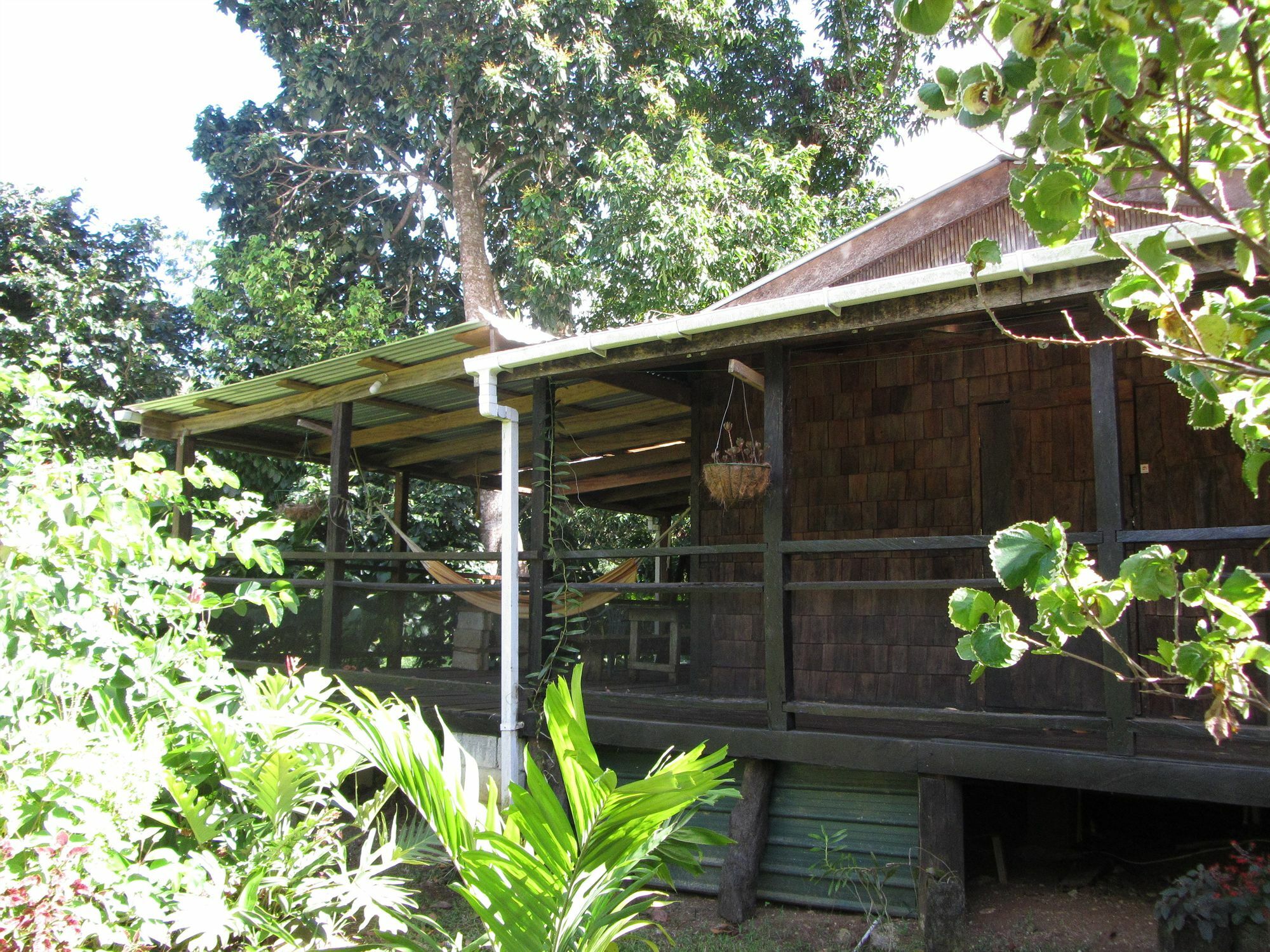 Hibiscus Valley Inn Marigot Eksteriør bilde